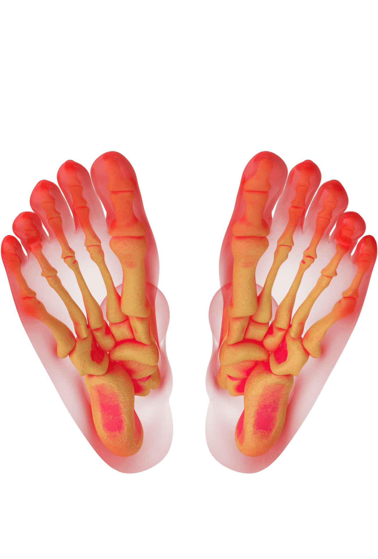 foot-anatomy-red_optimized.o01.2k